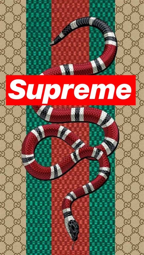 supreme gucci box logo transparent|supreme box logo clothing.